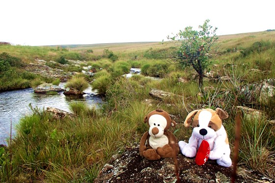 Eu e o cachorrinho na nascente do rio São Francisco!