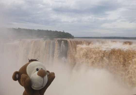 Mucuvinha nas Cataratas do Iguaçu